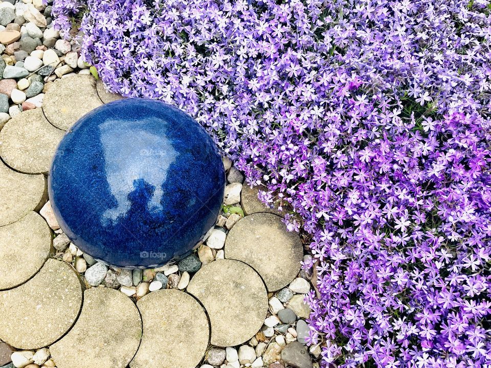Gorgeous colored flowers from a very well kept garden captured on a beautiful afternoon! 