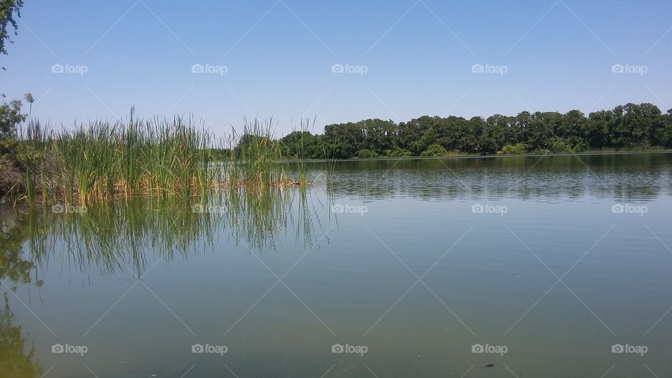 Idyllic lake