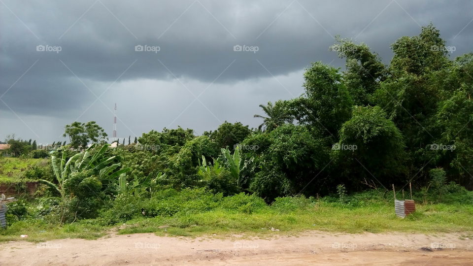 beautiful cloud of rain
