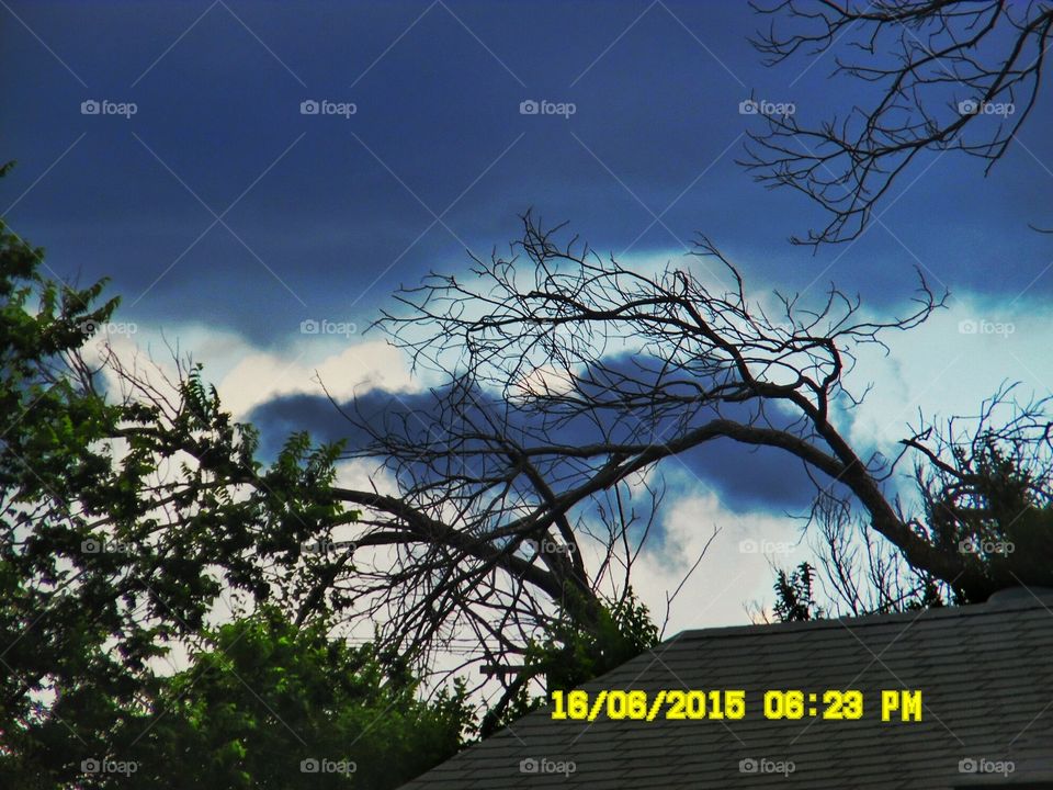 dark clouds 2. this is a picture of a tree branch with a cloudy background