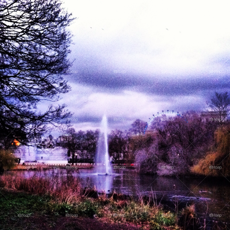 Water, Tree, Nature, No Person, River