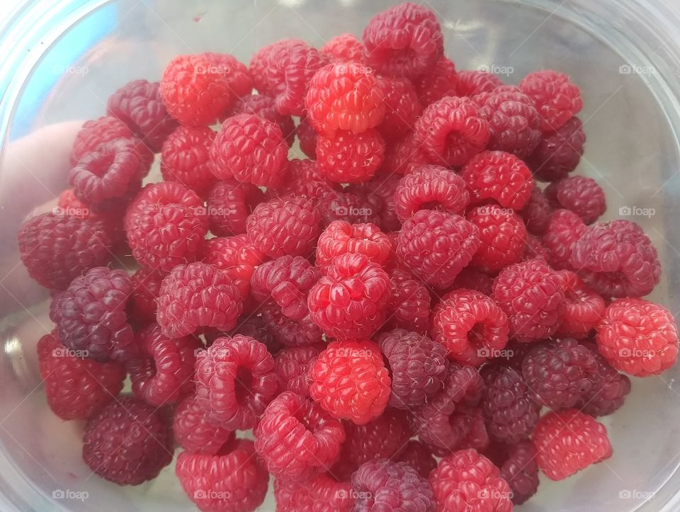 Raspberry, Fruit, Sweet, Food, Berry