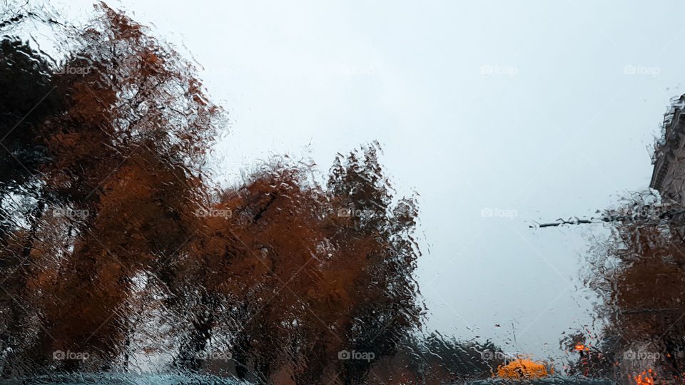 Abstract image of raindrops to the window with autumnal view in background.