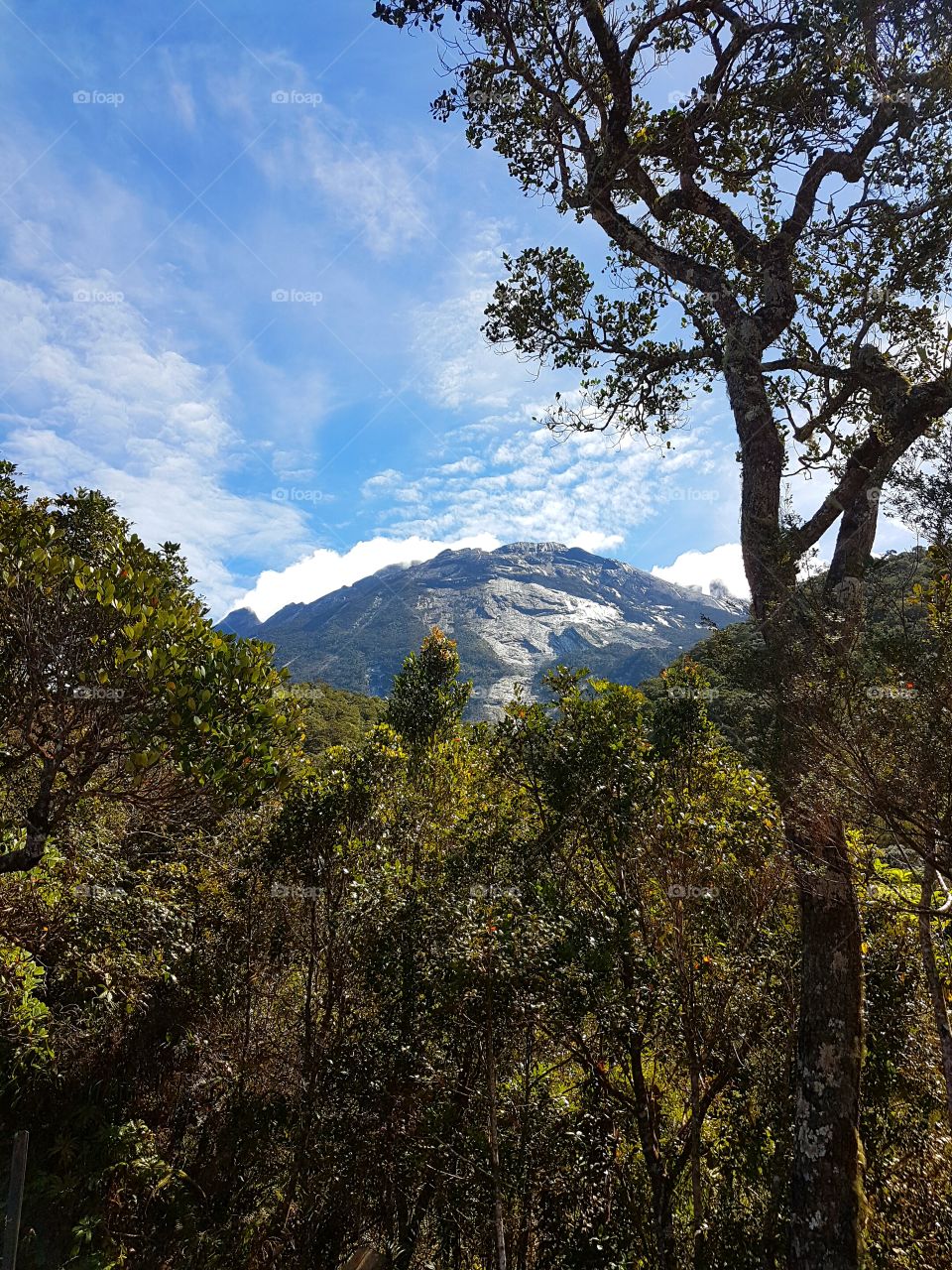 View of Mt Kinabalu
