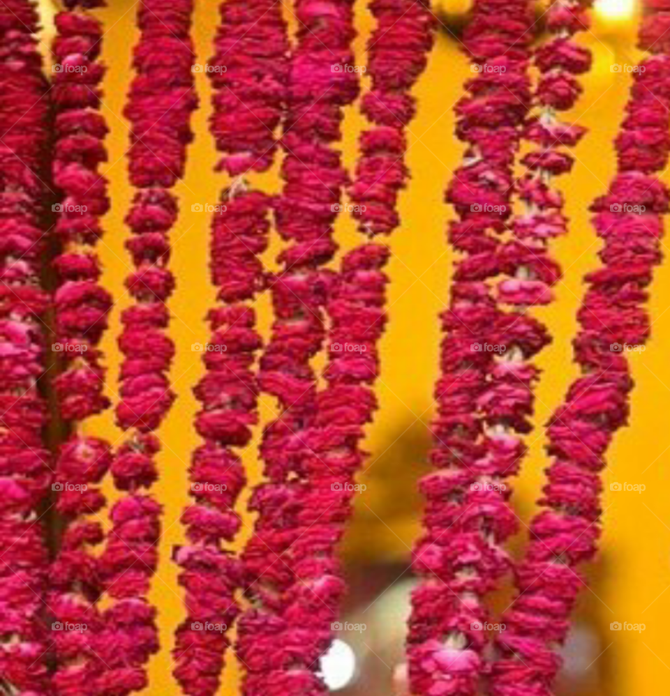 No Person, Nature, Bright, Handmade, Art