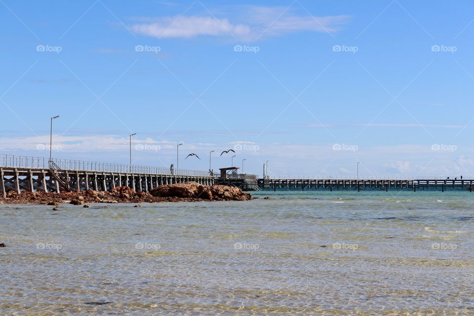 View public wharf Jetty on ocean, seagulls flying