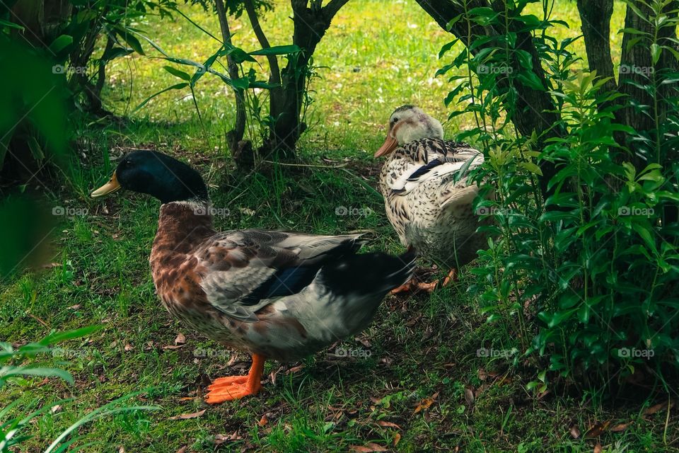 Stay there, let me check.