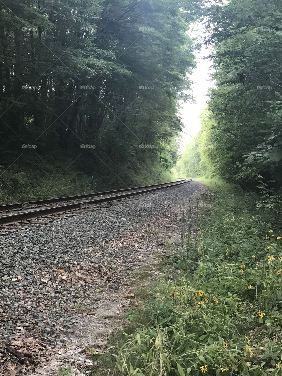 More railroad tracks😊