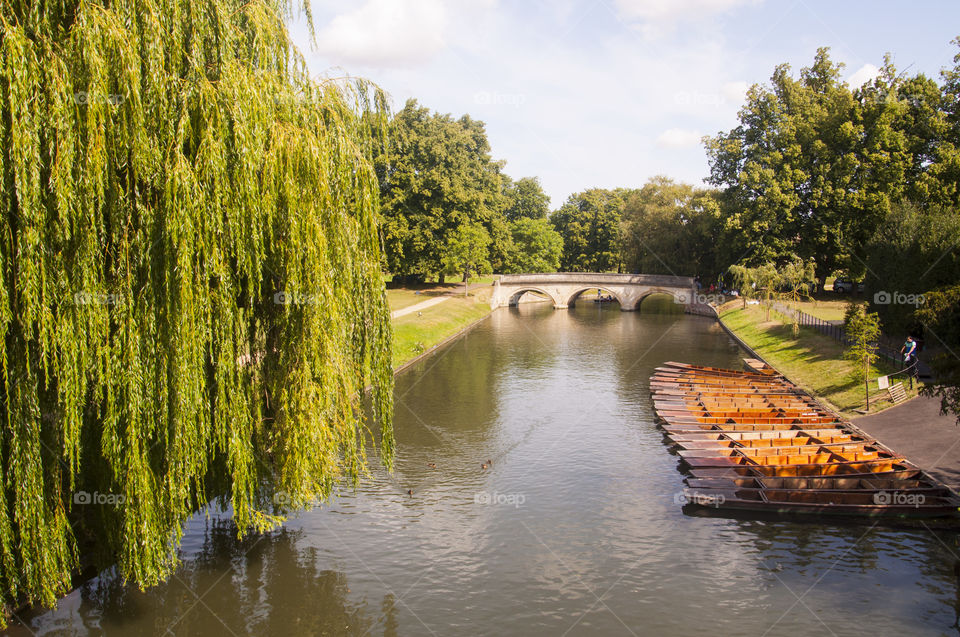 Cambridge view