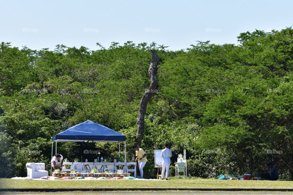 Nature's Beauty: Picknic