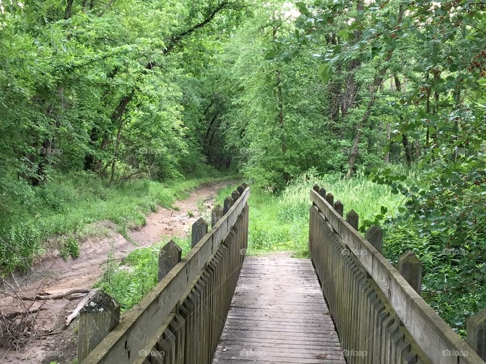 Hiking Trail