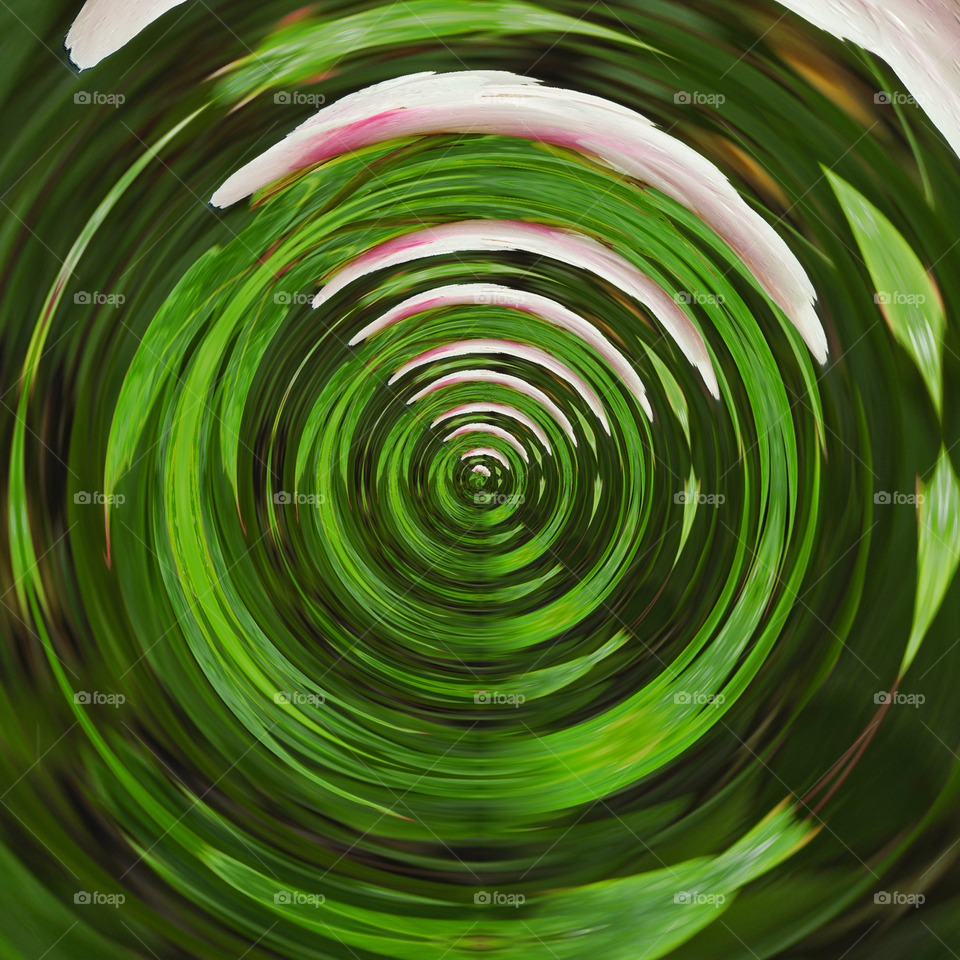 Green Spirals 