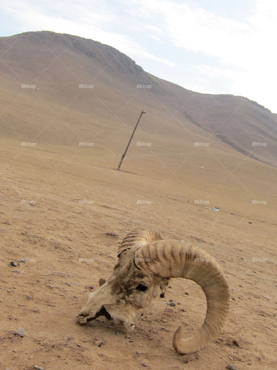 landscape sand desert desolate by thepapierdollies