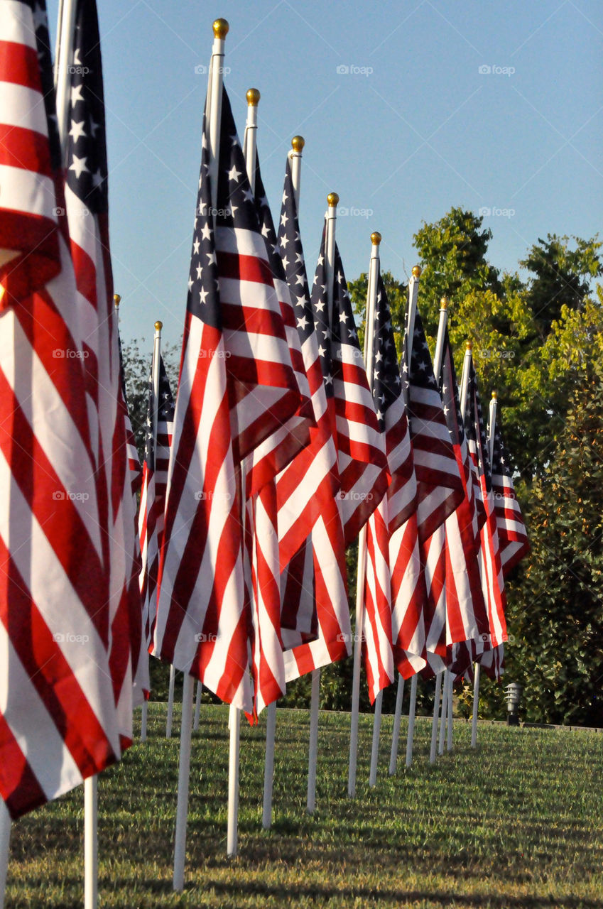 Flags