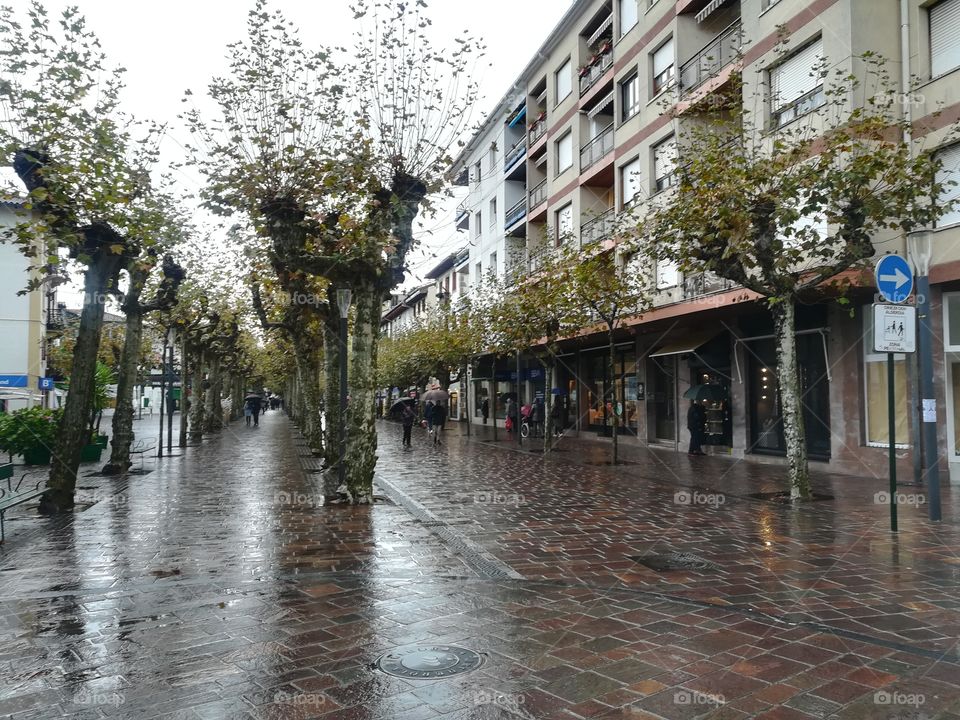 view from a rainy day