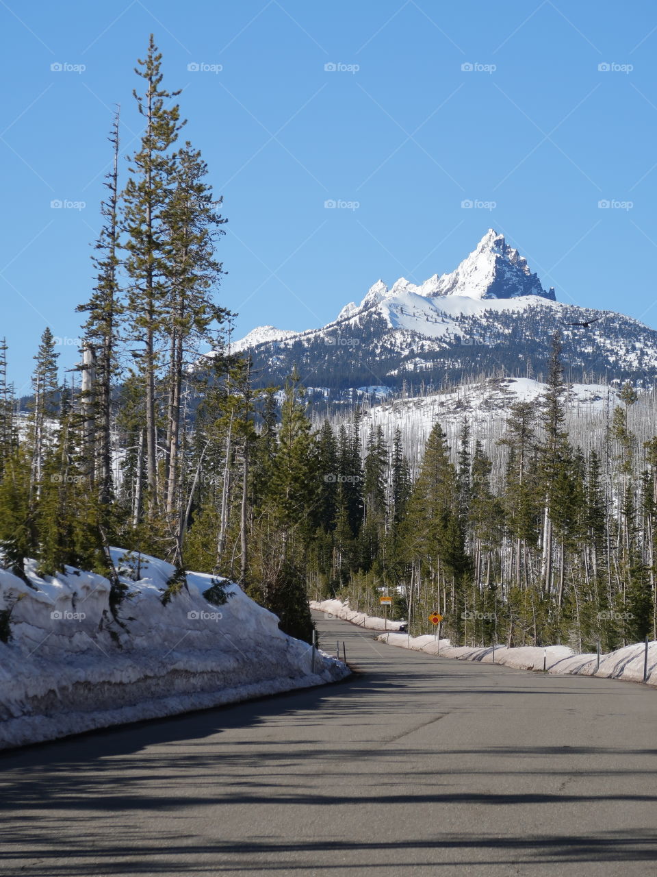 The jagged snow covered peak of Mt. Washington in Oregon’s forests and Cascade Mountain Range against a clear blue sky on a sunny spring day. 