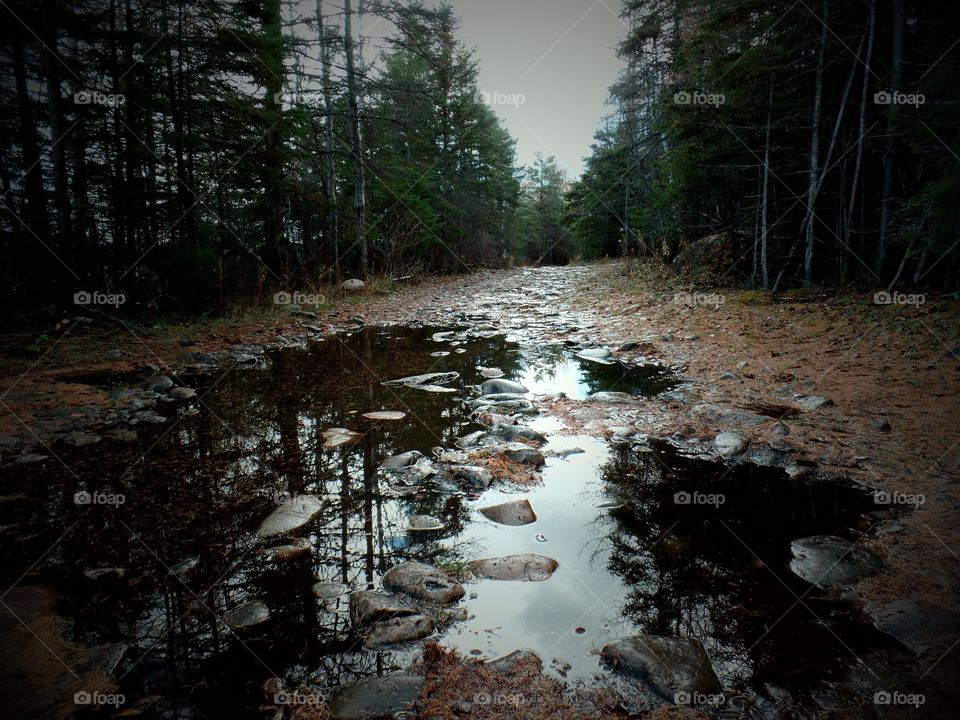 Drummond Island, Michigan 