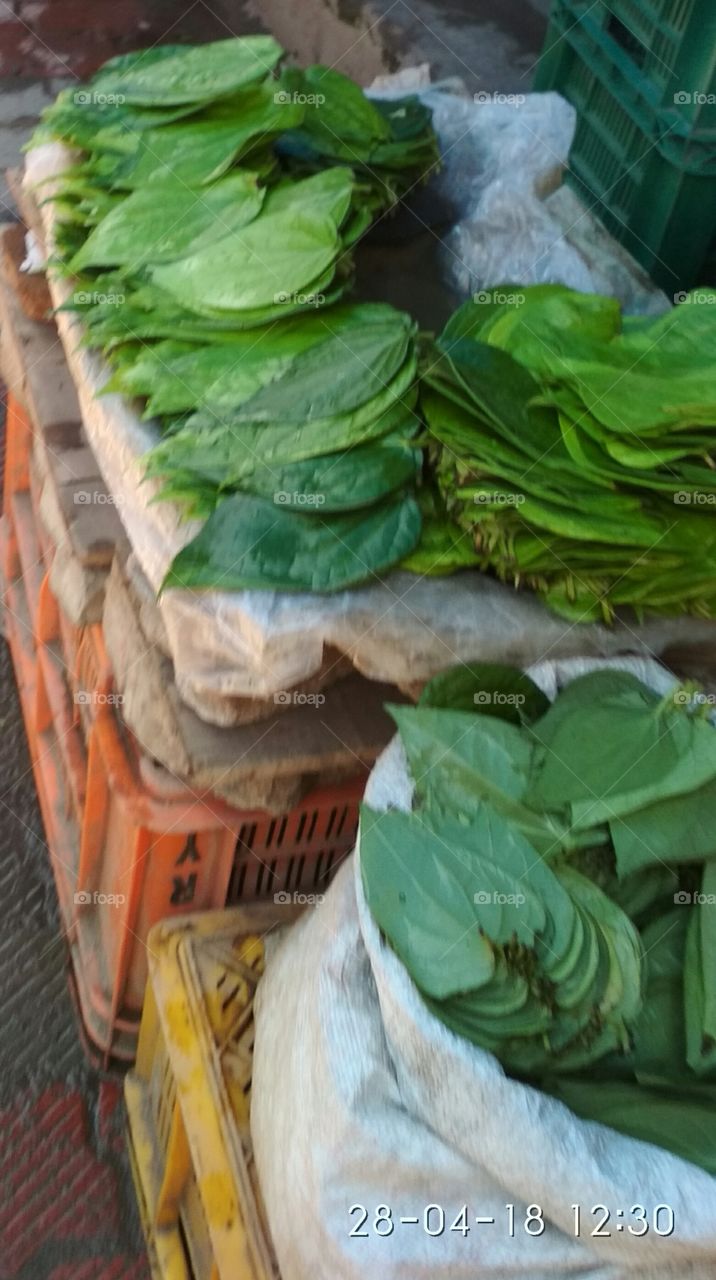 fresh greenish vetriyai in market