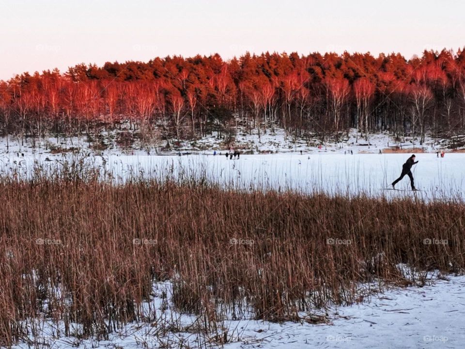 Skiing on the lake at sunset