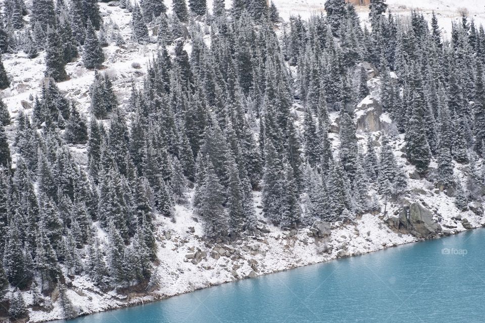 I forgot cold for a while... Snow mountain , Pine forest,  Water stream Beautiful blue lake at big Almaty lake in Kazakhstan