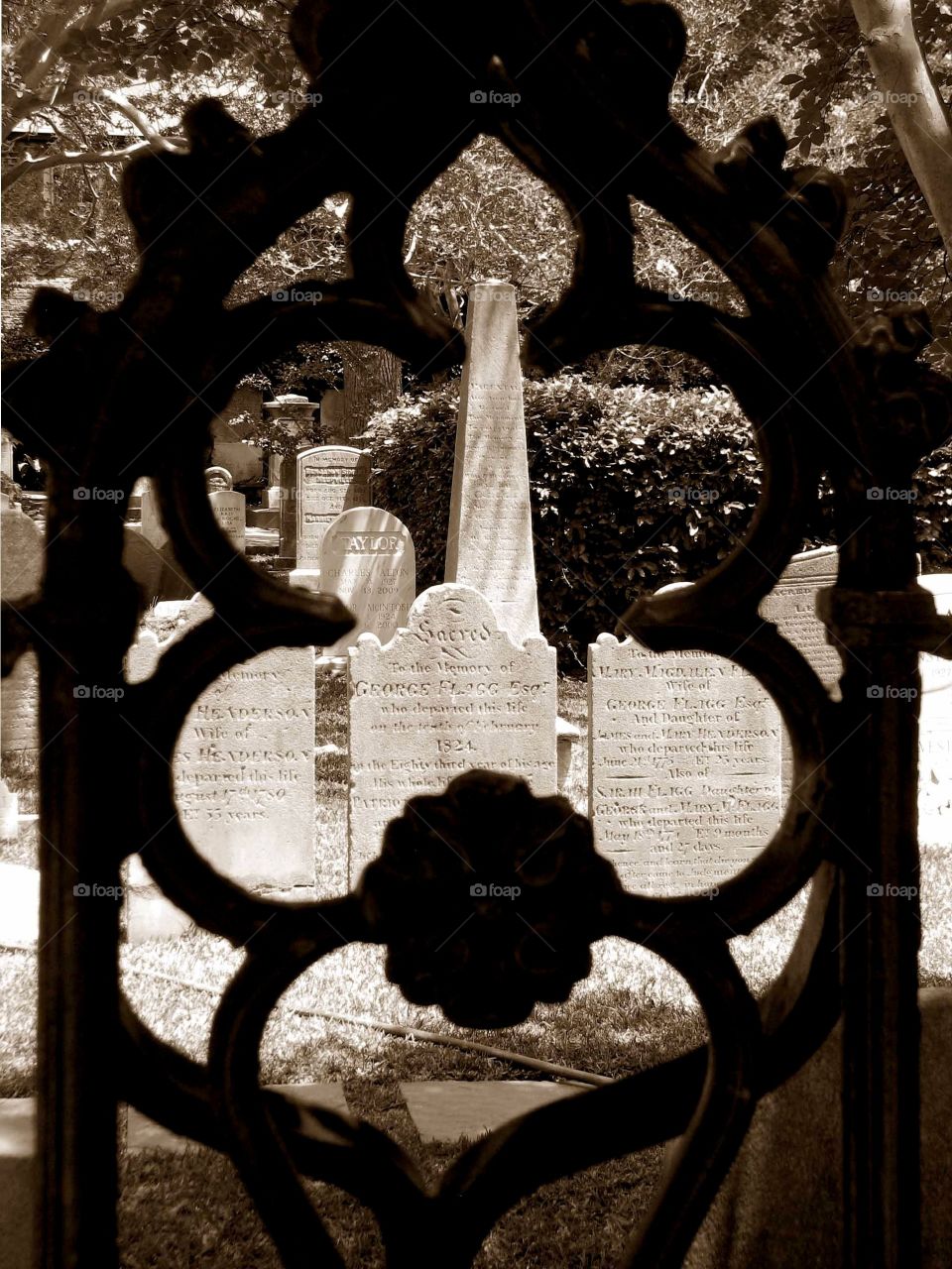 Charleston Cemetery. Cemetery in Charleston, SC