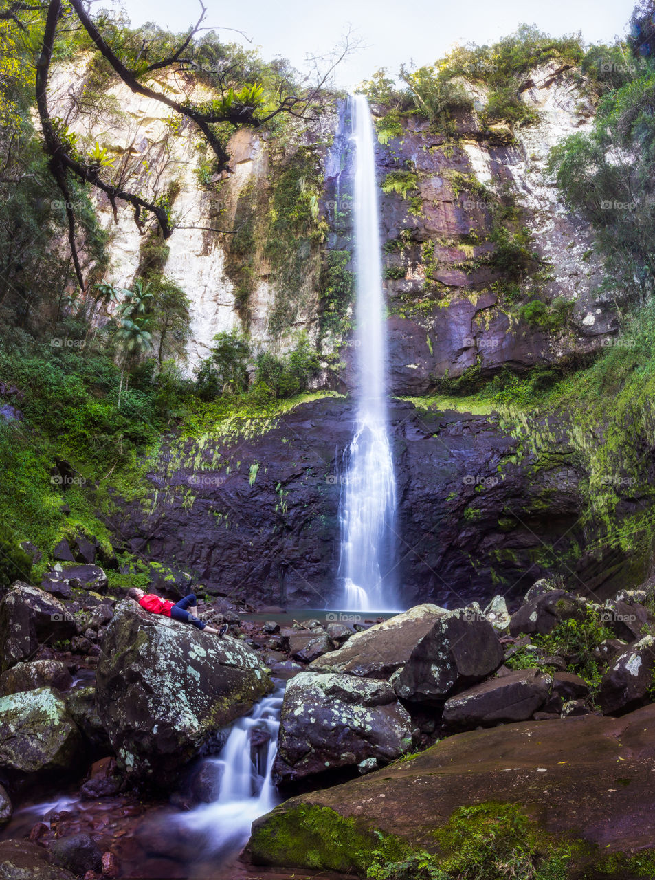 Chilling in the nature