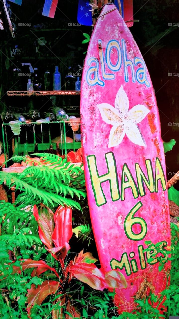 on the road to Hana Maui Hawaii