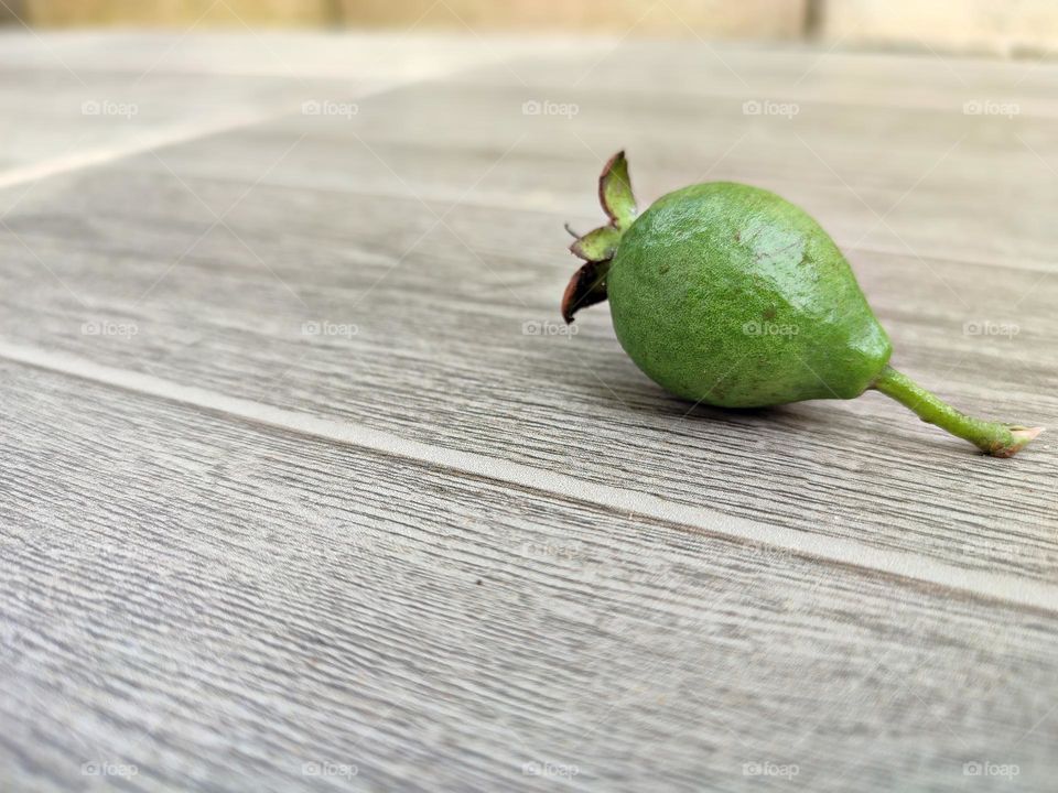 The young guava fell to the floor