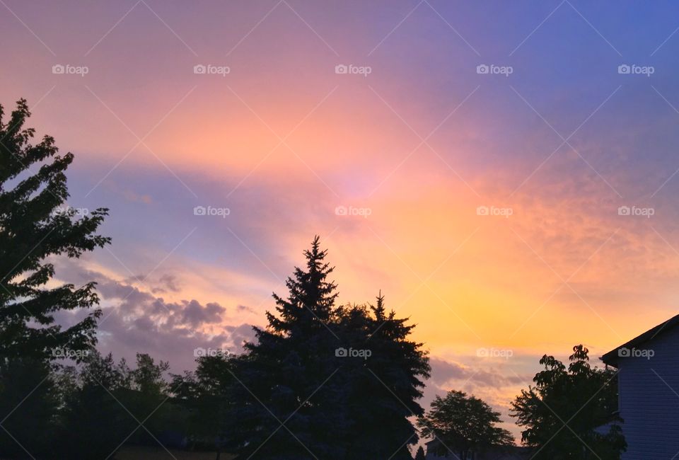 Silhouette of trees against dramatic sky