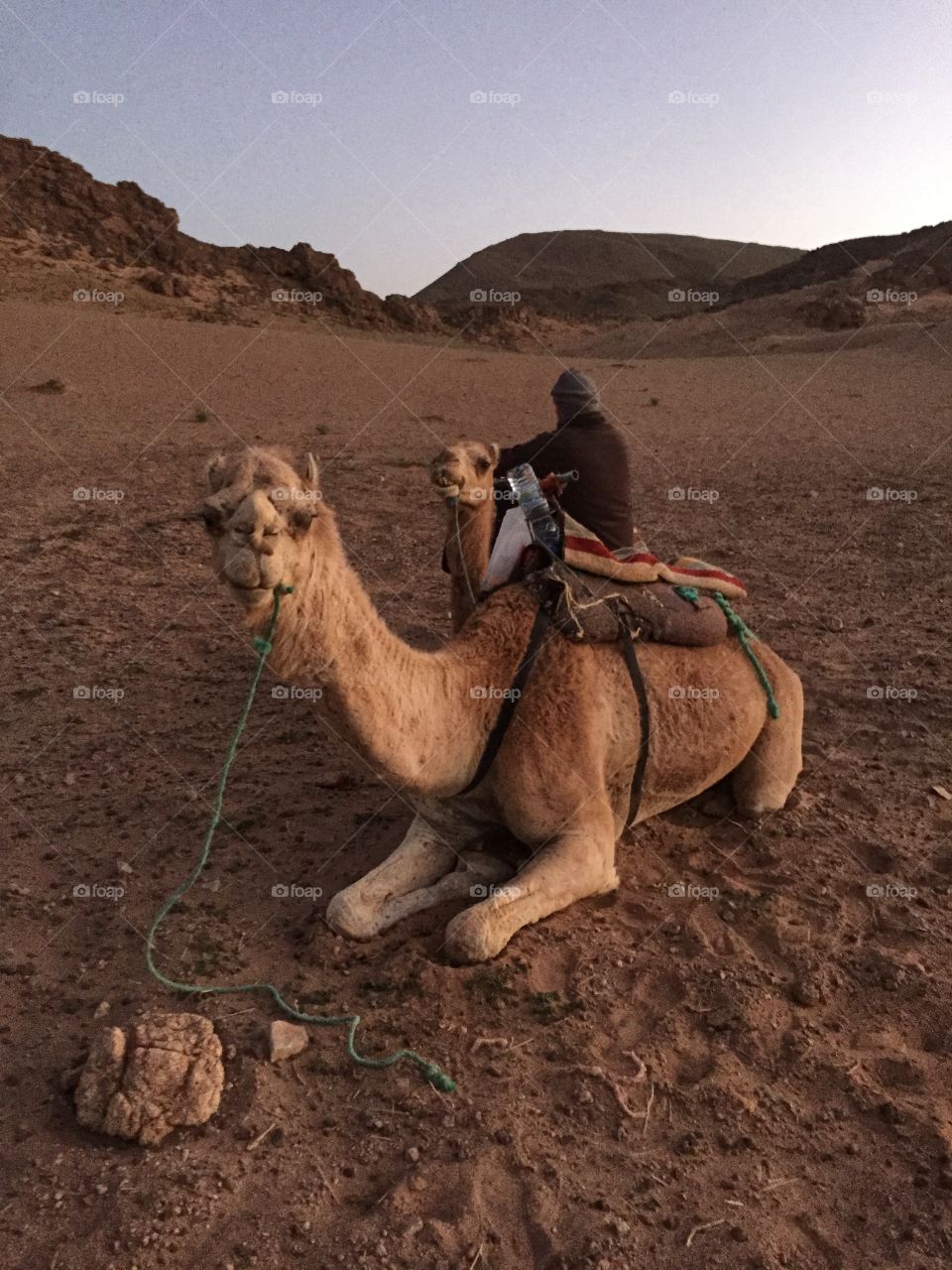 Loading supplies before a trip into the desert