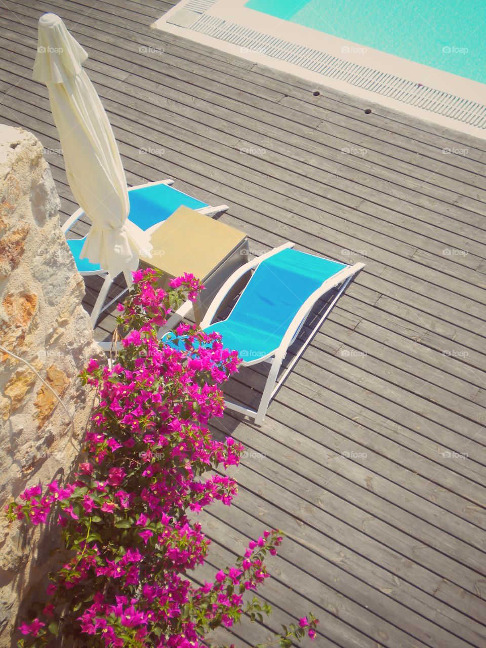 Empty deck chairs at poolside