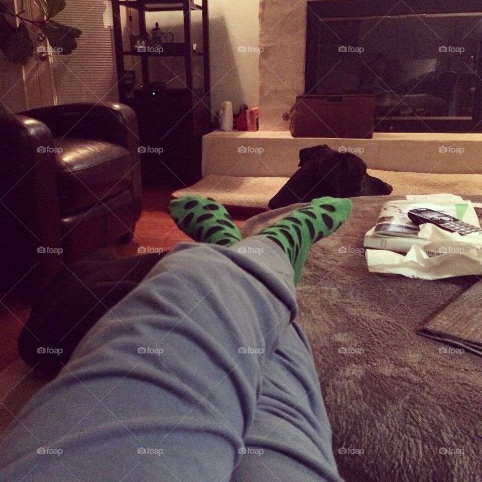 Winter socks with dog