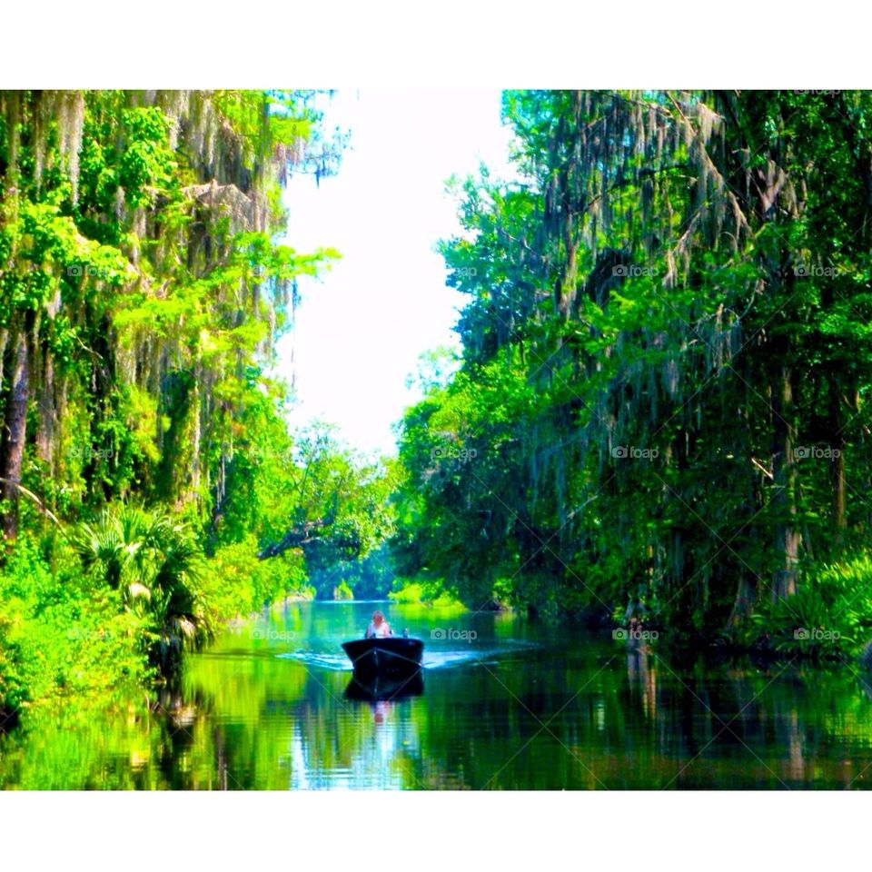 Jurassicpark. Boating through the canals there's beauty found 