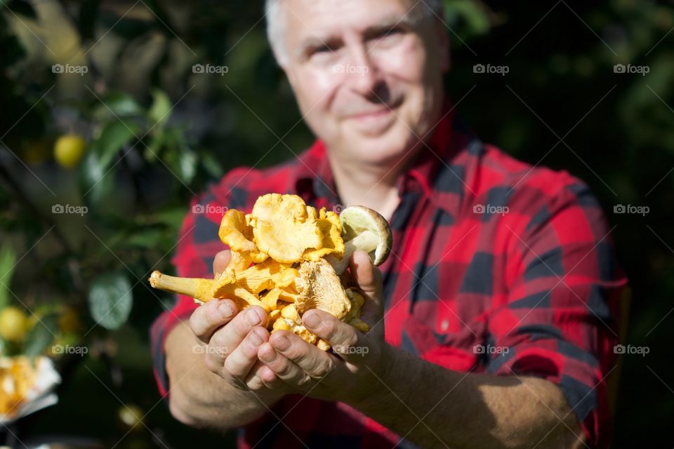 Chanterelles, mushrooms