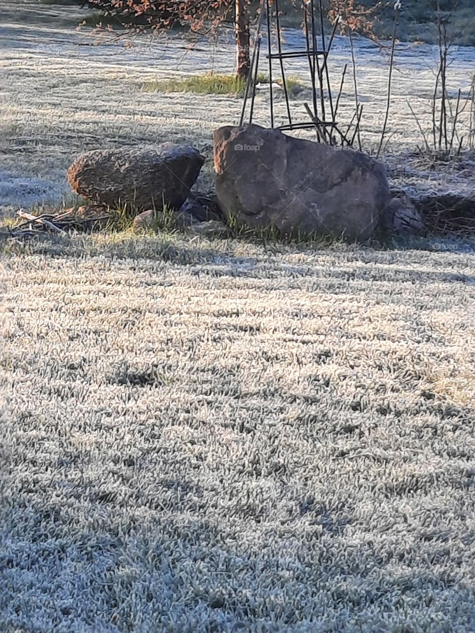 sunny morning with  frost at the end of April