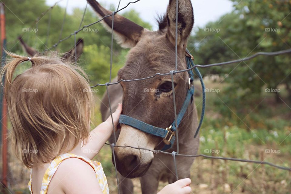 A girl and her Donkey