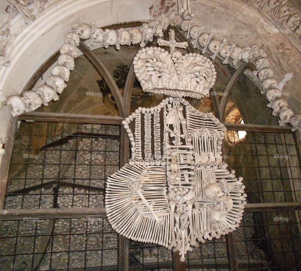 Coat of arms made of bones