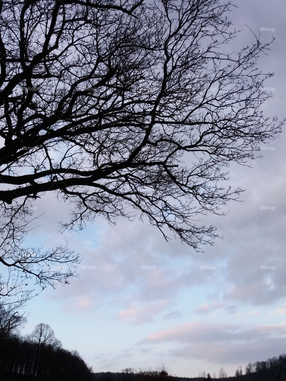 winter landscape twilight