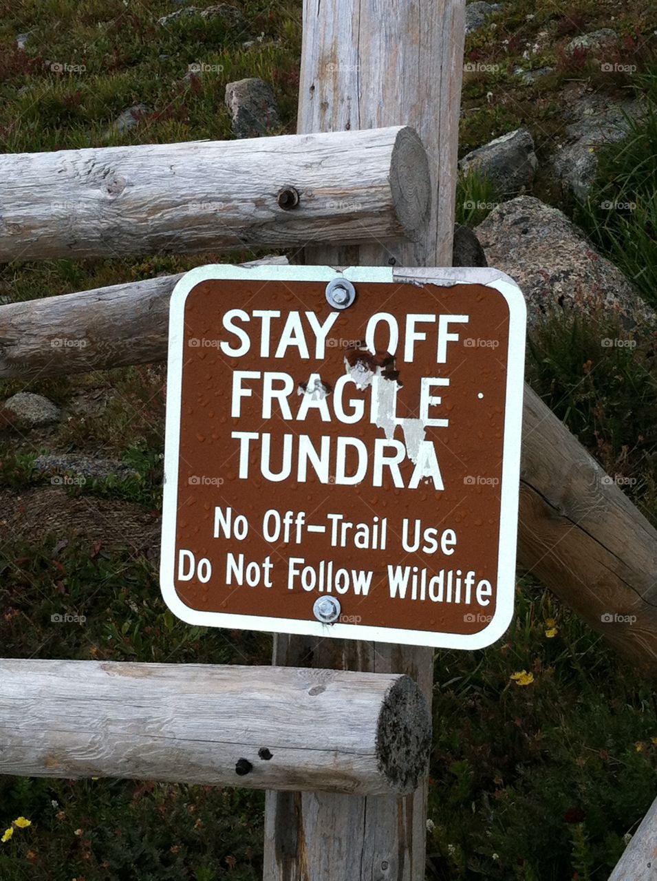 Caution Sign for Tundras