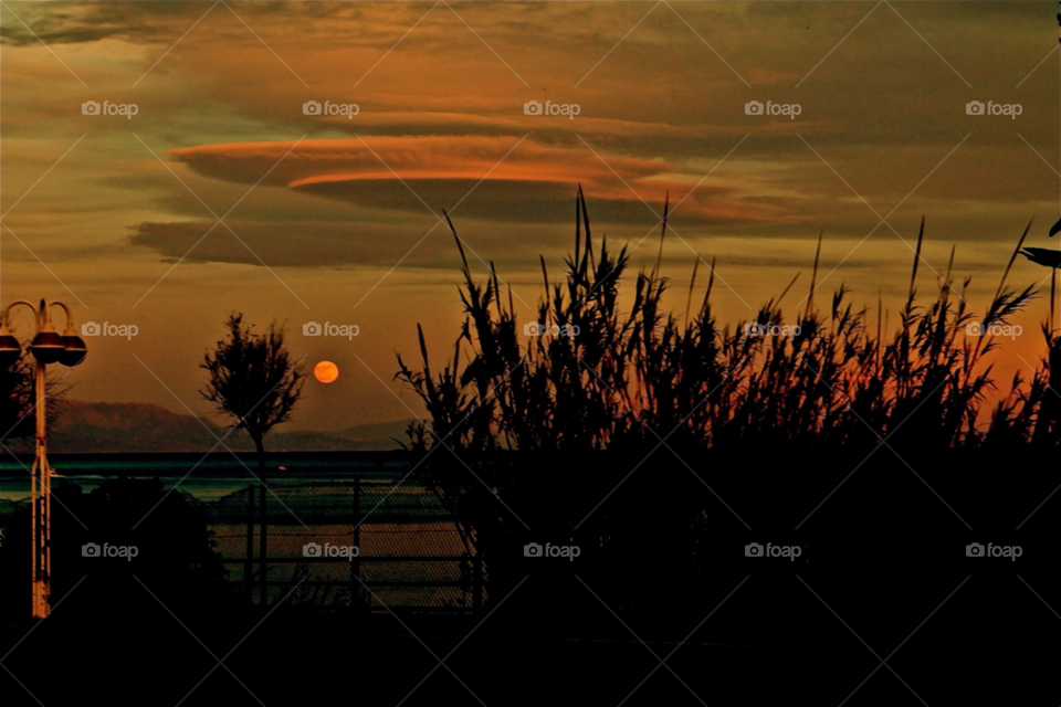 costa del sol nature grass sunset by Heeralsadhz