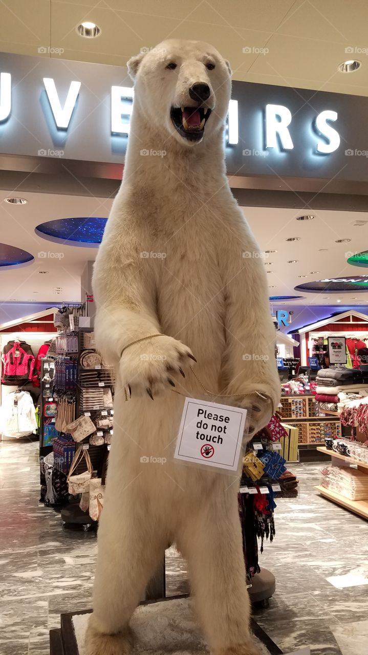 Polar bear stuffed animal