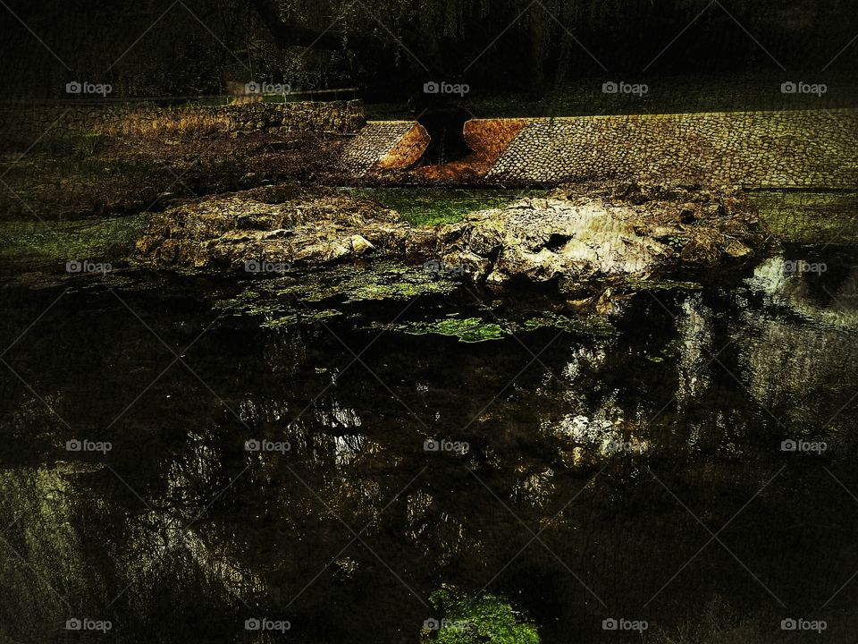 Pond dark water