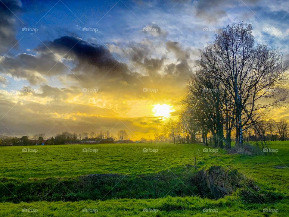 Golden sunset under a blue sky with some dark clouds and over a soft fresh green grass landscape with some still bare trees at the end of wintertime