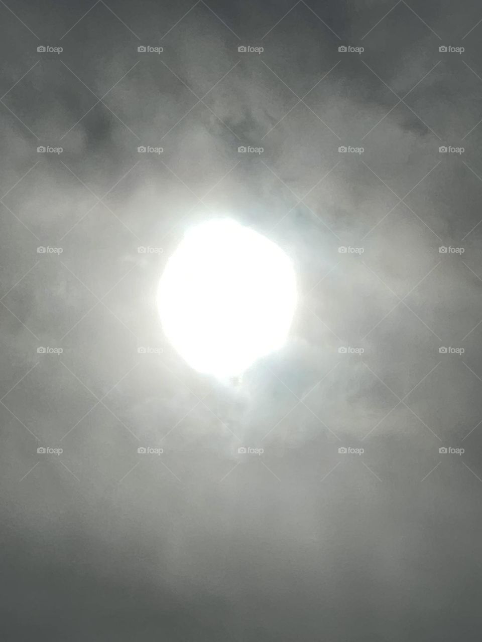 Shining between darkness.