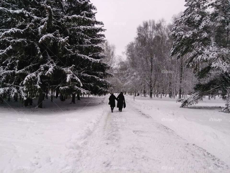 Winter covered park beautiful landscape and two women walking on a snowy road