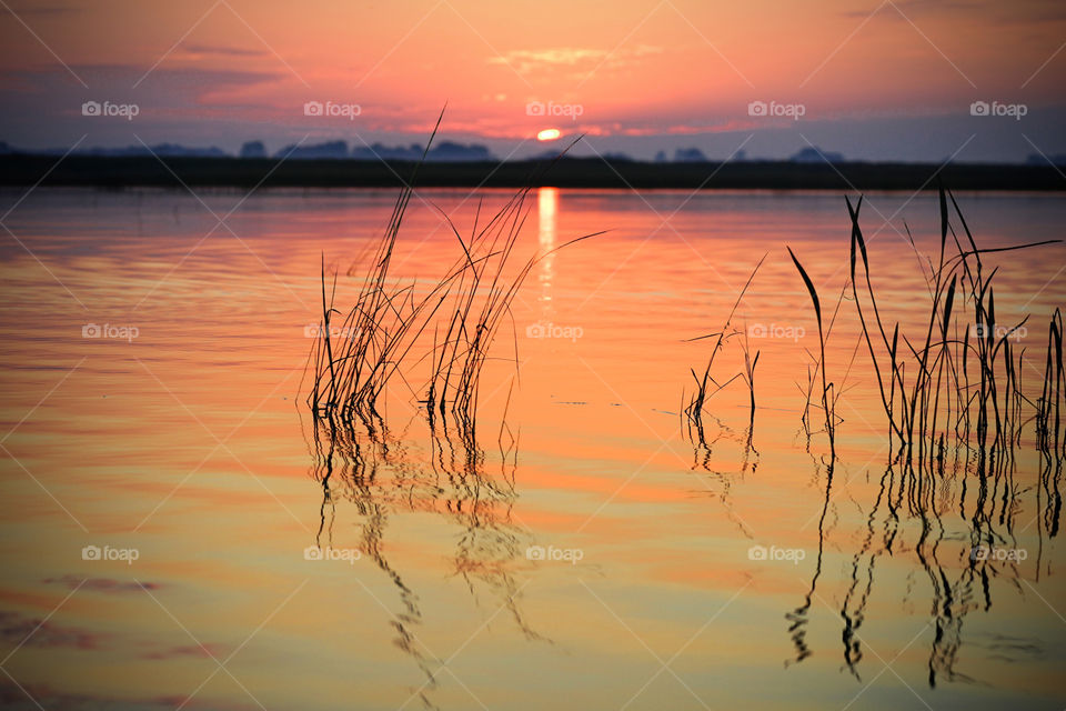 Harsen's Beautiful Sky