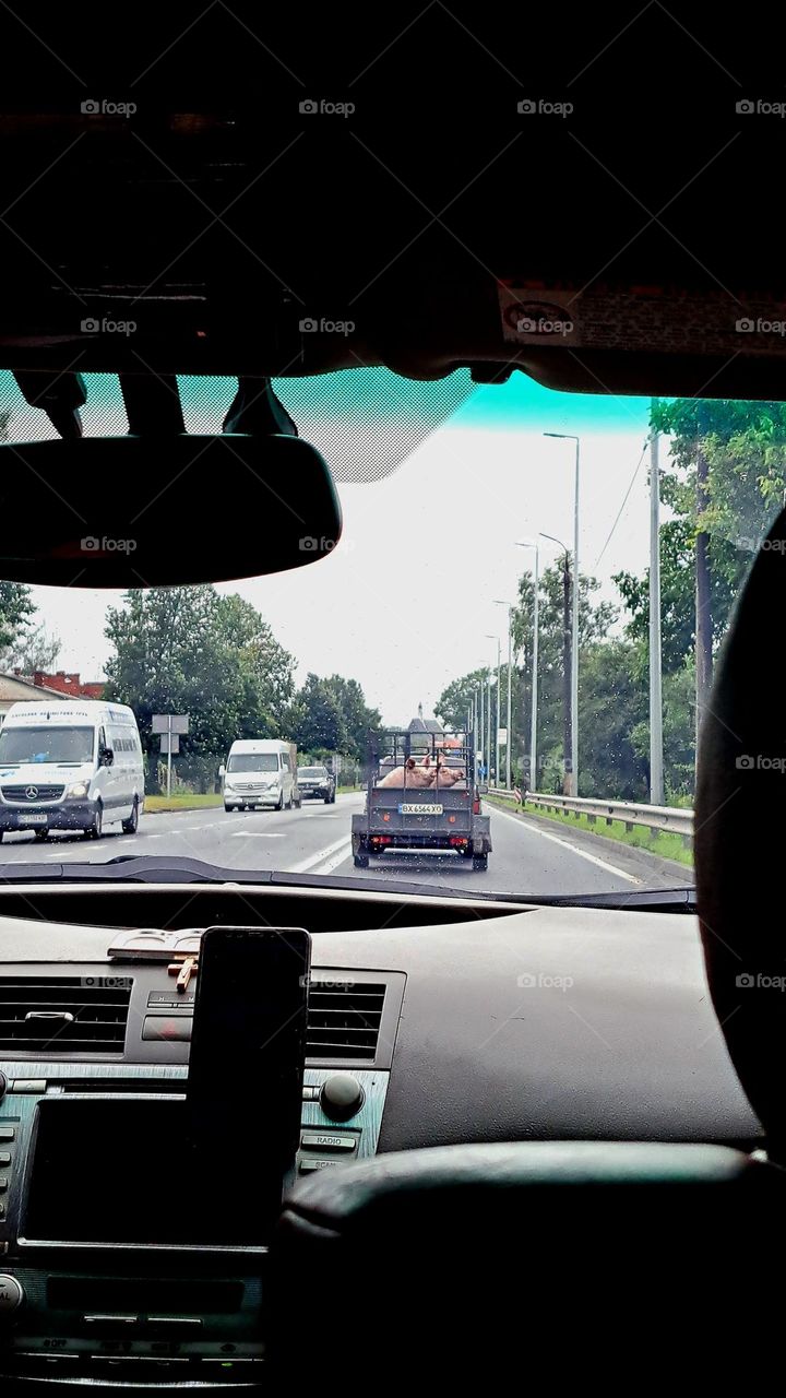 car window photo