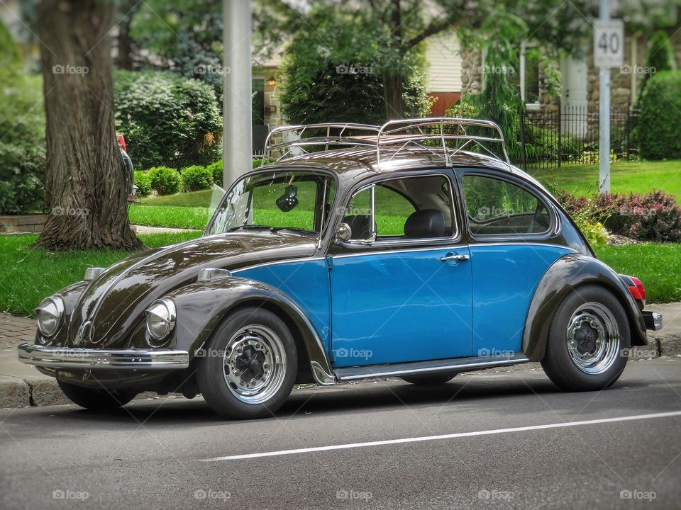 VW Beetle