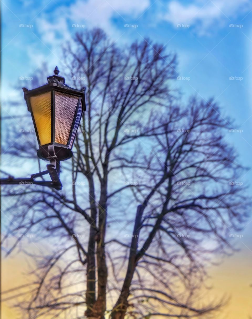 Street light