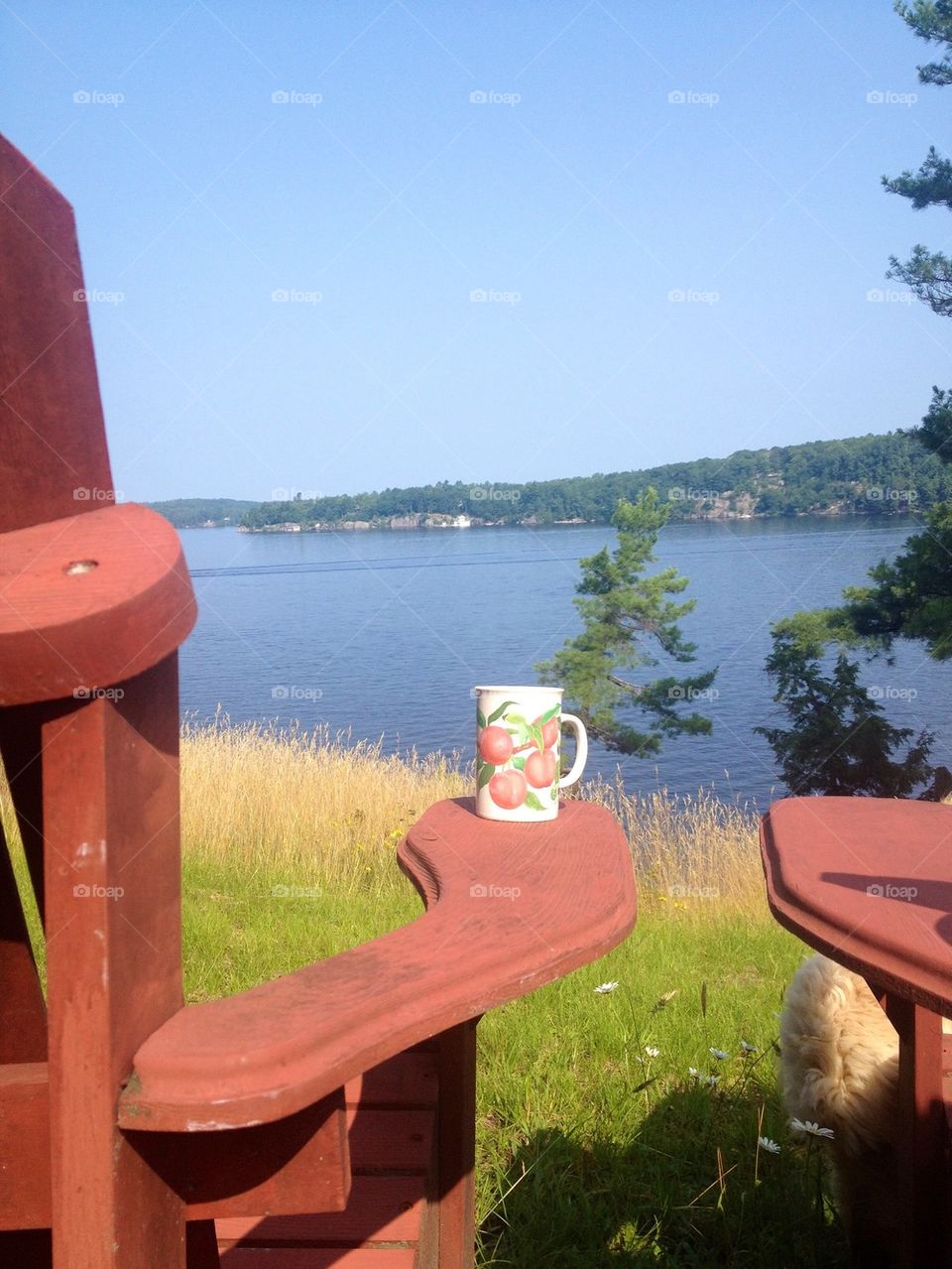 Cottage coffee